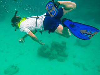 Underwater photography in the Caribbean