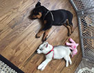 Smoky and Bandit